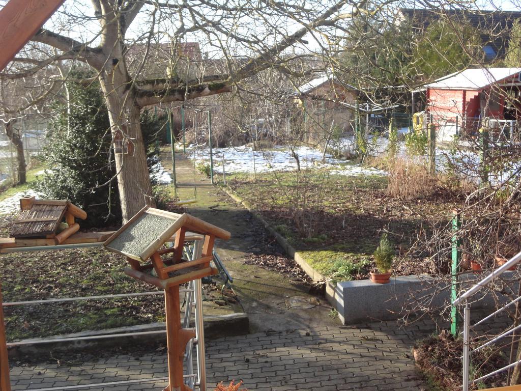 Chez Jpzen Nowicki Bed & Breakfast Freyming-Merlebach Dış mekan fotoğraf